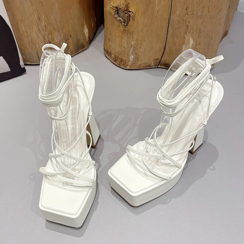 47255464345895|47255464378663|47255464411431|47255464444199|47255464476967|47255464509735|47255464542503