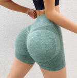 Short Levanta Bumbum Modeladora Cintura Alta - ROMANA SHOPPING